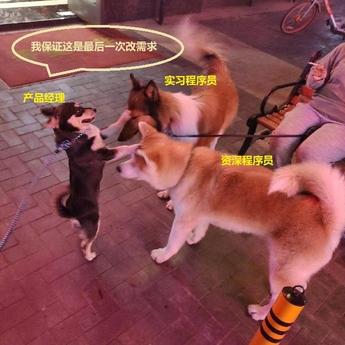 程序员趣事于2019-05-27 14:32发布的图片