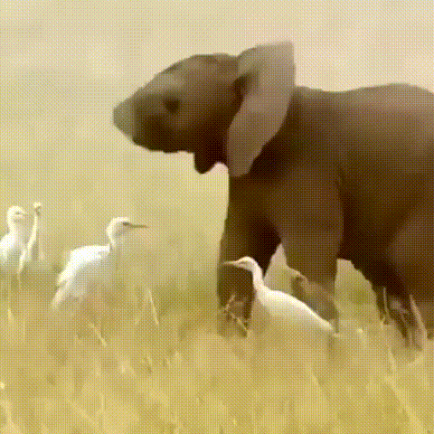 程序员趣事于2019-05-27 14:56发布的图片