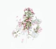 muzhi_的个人资料头像