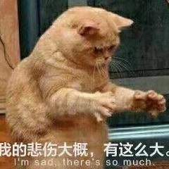 忧郁的驴于2019-05-27 21:33发布的图片