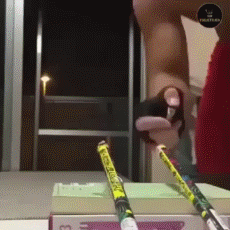 沙雕动图于2019-05-28 09:35发布的图片