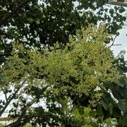 zung435的个人资料头像