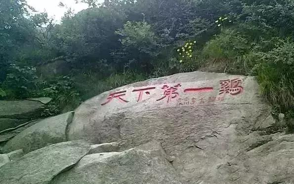 这个俄罗斯大神,又出新作品了!