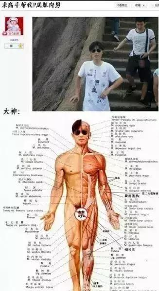 这个俄罗斯大神,又出新作品了!