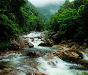 myquan的个人资料头像