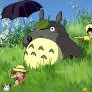 南方乔木的个人资料头像