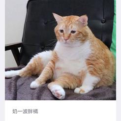 王书通于2019-05-29 08:56发布的图片