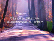 wangdt的个人资料头像