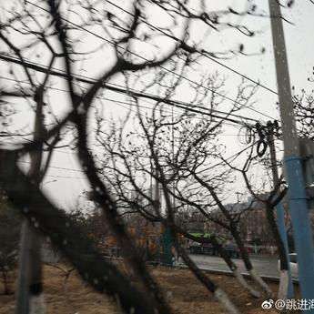 跳进海里躲雨T于2019-05-03 23:42发布的图片