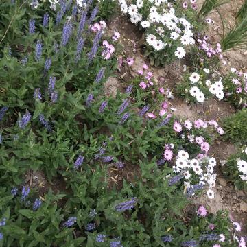 跳进海里躲雨T于2019-05-03 23:46发布的图片