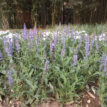 跳进海里躲雨T于2019-05-03 23:46发布的图片