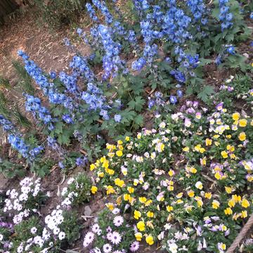跳进海里躲雨T于2019-05-03 23:46发布的图片