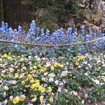 跳进海里躲雨T于2019-05-03 23:46发布的图片