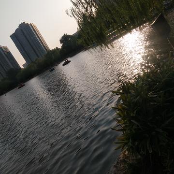 跳进海里躲雨T于2019-05-03 23:46发布的图片