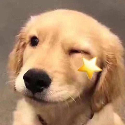 跳进海里躲雨T于2019-05-03 23:57发布的图片