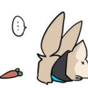 喵呜饲养员的个人资料头像