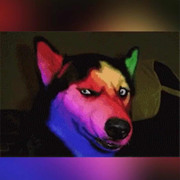 埃里克森枫的个人资料头像