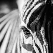 Jenhonnnnnn的个人资料头像