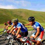 刘掌柜的的个人资料头像