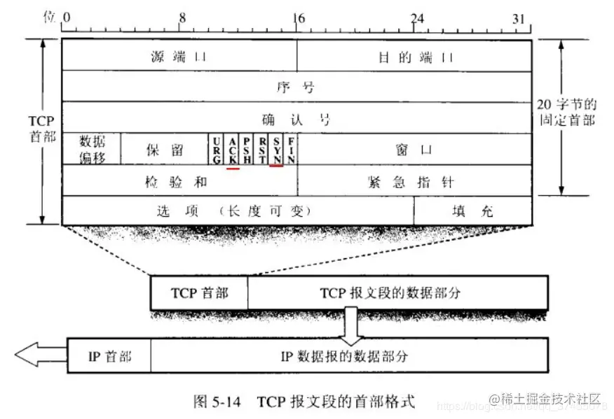 TCP分组