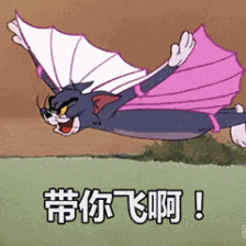 沙雕动图于2019-05-31 11:42发布的图片
