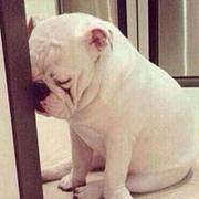 aguai0的个人资料头像