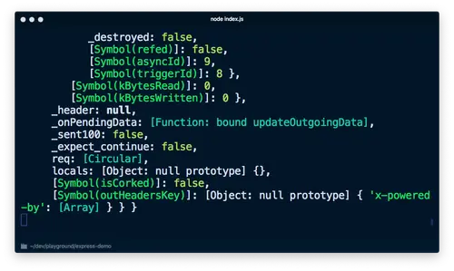 Screenshot of terminal showing too much output of request object