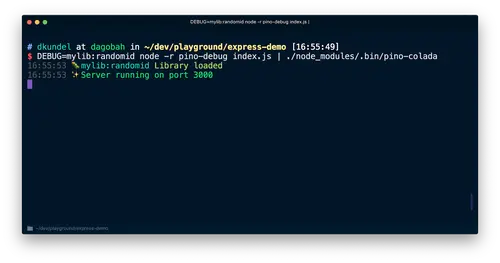 Screenshot of debug logs working with pino and pino-colada