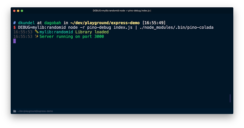 Screenshot of debug logs working with pino and pino-colada