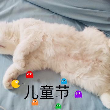 What_Not于2019-05-31 17:01发布的图片