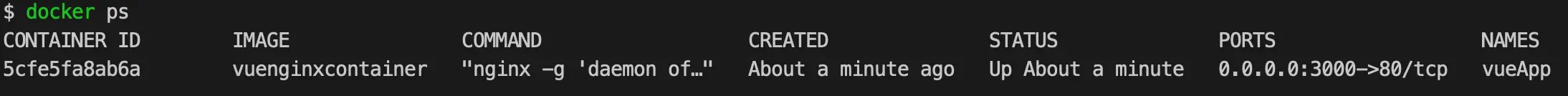 vueApp container