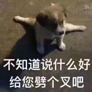 zim于2019-05-05 10:39发布的图片