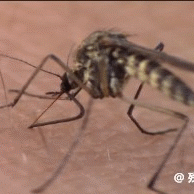 沙雕动图于2019-05-05 10:50发布的图片