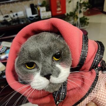 simplepeng于2019-05-06 13:23发布的图片