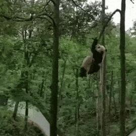 0xinhua于2019-05-06 06:10发布的图片