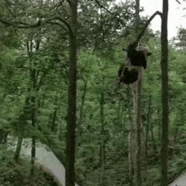 0xinhua于2019-05-06 06:10发布的图片