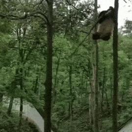 0xinhua于2019-05-06 06:10发布的图片