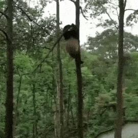 0xinhua于2019-05-06 06:10发布的图片