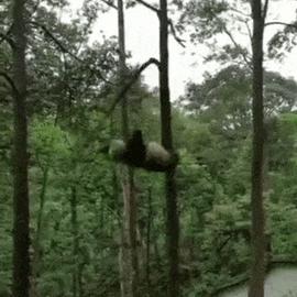 0xinhua于2019-05-06 06:10发布的图片