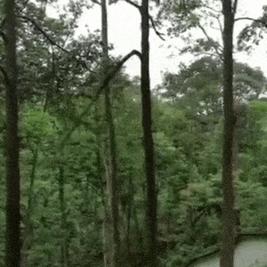 0xinhua于2019-05-06 06:10发布的图片