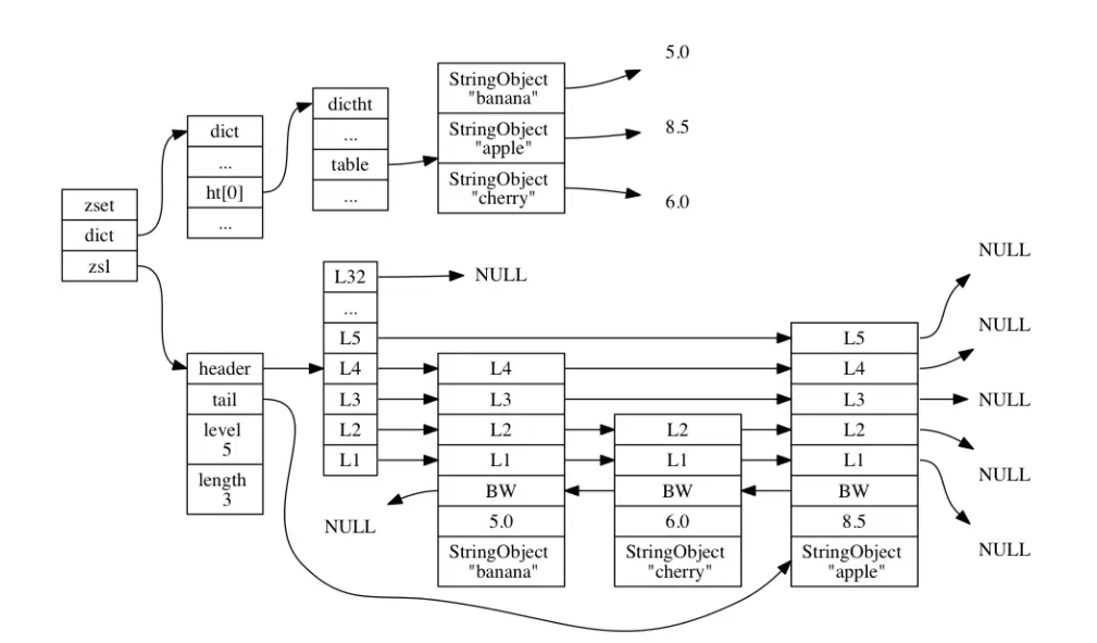 有序集合使用跳跃表和哈希表