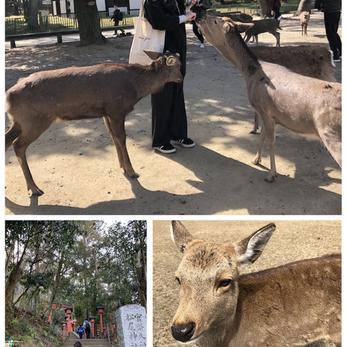 画音于2019-05-06 21:32发布的图片
