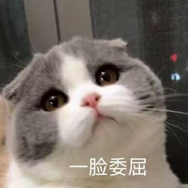 前端劝退师于2019-05-07 12:48发布的图片