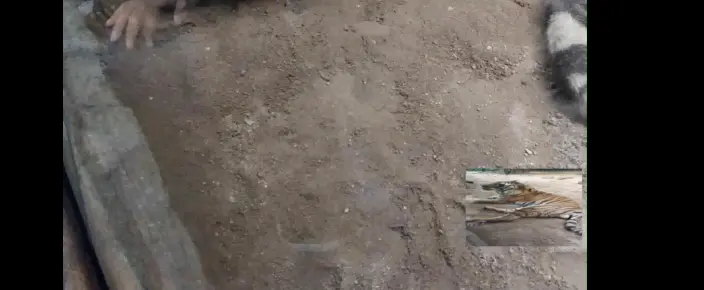 出现在视频的右下角