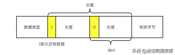 造轮子系列之Protobuf