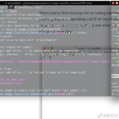 爱可可爱生活于2019-05-07 15:24发布的图片