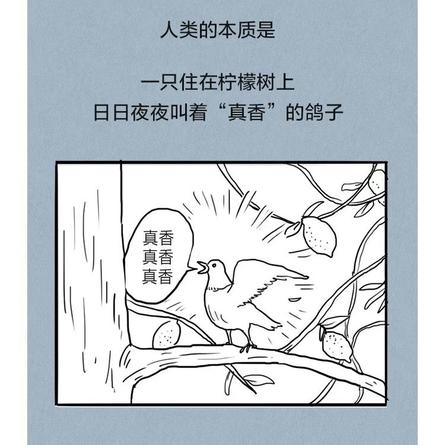 djping于2019-05-07 18:03发布的图片