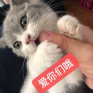 阴明于2019-05-08 10:24发布的图片