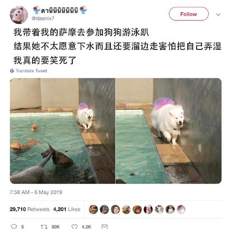 羽田yutian于2019-05-08 11:01发布的图片