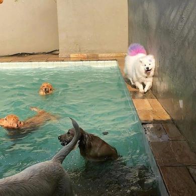 羽田yutian于2019-05-08 11:01发布的图片